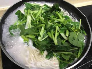 青菜鸡蛋面的做法步骤：4