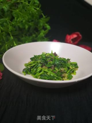 蒜香菠菜的做法步骤：4