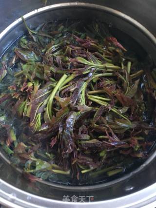 春之食：香椿炒鸡蛋的做法步骤：2