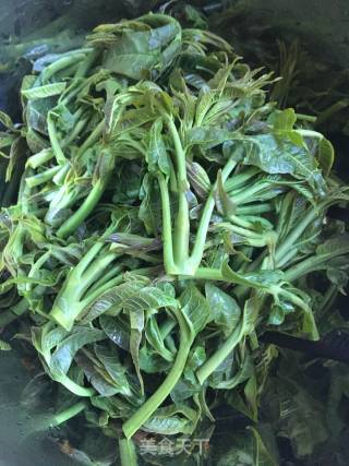 春之食：香椿炒鸡蛋的做法步骤：3