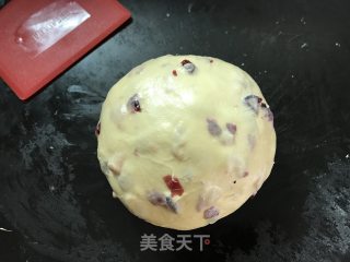 潘妮托尼面包的做法步骤：7