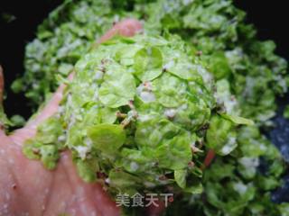 春天的味道:蒸榆钱馍的做法步骤：5