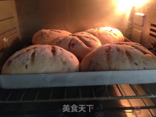 全麦红糖乳酪软欧的做法步骤：9