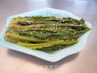 白灼油麦菜的做法步骤：6