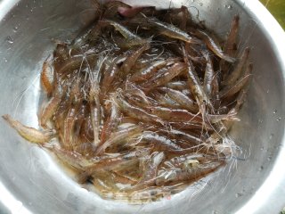 白灼河虾的做法步骤：1
