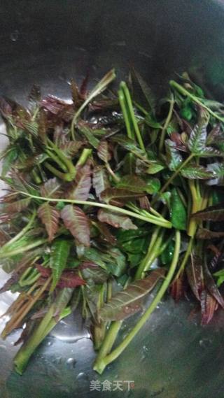 “便当”香椿芽炒鸡蛋的做法步骤：1