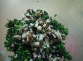 荠菜肉包的做法步骤：4