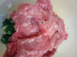 荠菜肉包的做法步骤：5