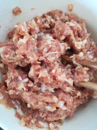 鲜肉包子的做法步骤：3