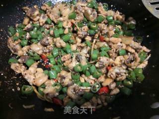 尖椒鸡的做法步骤：4