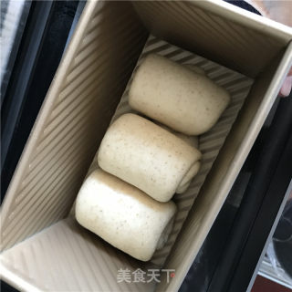液种全麦吐司的做法步骤：6