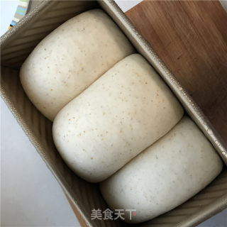 液种全麦吐司的做法步骤：7