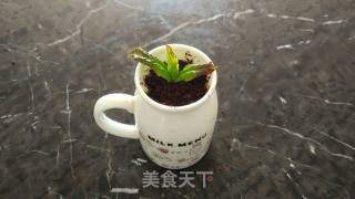 奥利奥酸奶的做法步骤：6