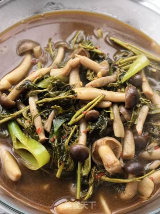 春食香椿鲜～蟹味菇烧香椿的做法步骤：7
