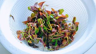 香椿芽煎饼的做法步骤：1