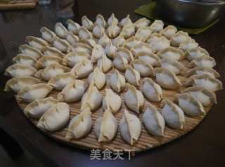 韭菜肉饺子的做法步骤：7