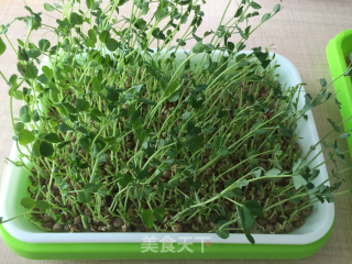 你饿不饿？我给你凉拌个春天吃？的做法步骤：1