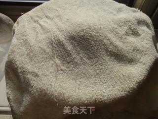 小白菜鸡蛋虾皮包子的做法步骤：6