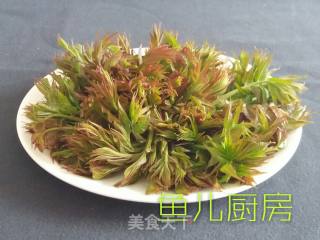香椿豆腐鸡蛋卷──“鱼儿厨房”私房菜的做法步骤：1