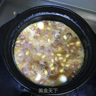 牛奶黄豆煲猪蹄的做法步骤：6