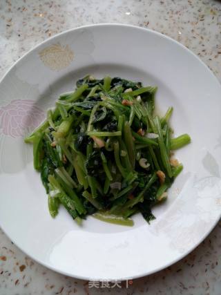 炝拌菠菜的做法步骤：6