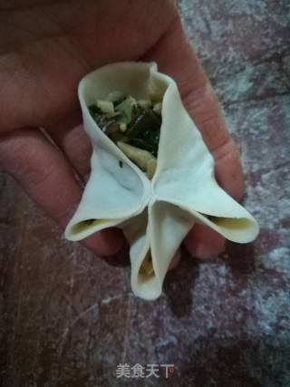 牡丹花蒸饺的做法步骤：5