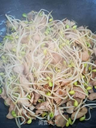 猪肉炒黄豆芽的做法步骤：6