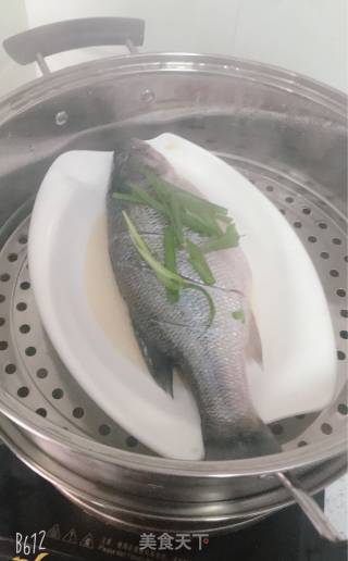 清蒸鲈鱼的做法步骤：5