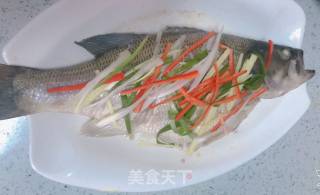 清蒸鲈鱼的做法步骤：7