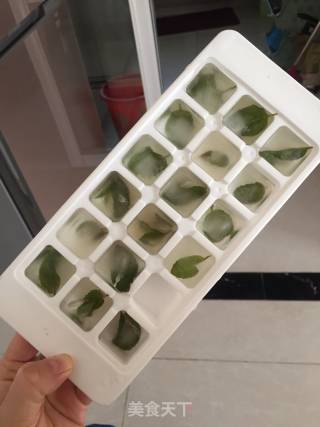 薄荷冰块的做法步骤：4