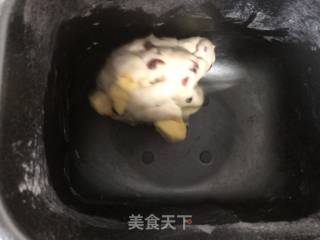 蔓越莓蜜豆软欧的做法步骤：2