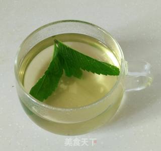 薄荷绿茶的做法步骤：4