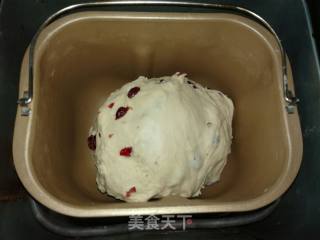 蔓越莓排包的做法步骤：7