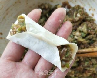 牛肉槐花锅贴的做法步骤：12