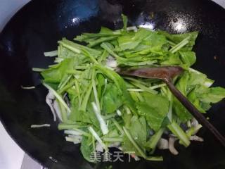 小白菜炒平菇的做法步骤：8