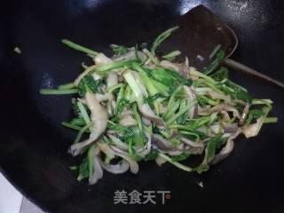 小白菜炒平菇的做法步骤：13