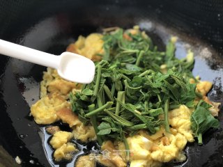 香椿炒鸡蛋的做法步骤：9