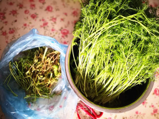 茴香水饺的做法步骤：1