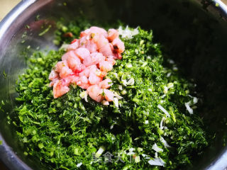 茴香水饺的做法步骤：5