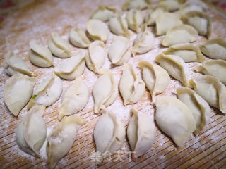 茴香水饺的做法步骤：7