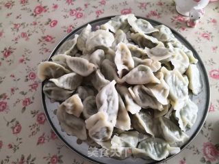 茴香水饺的做法步骤：8