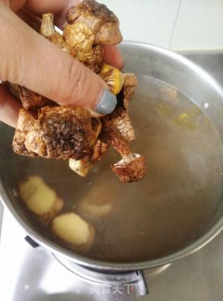 姬松茸炖鸡的做法步骤：4