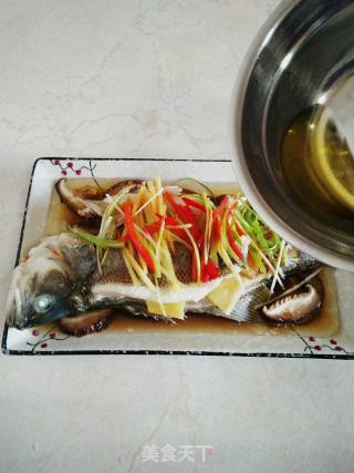 清蒸鲈鱼的做法步骤：5