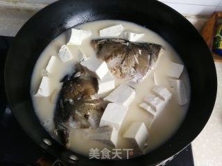 鱼头炖豆腐的做法步骤：7