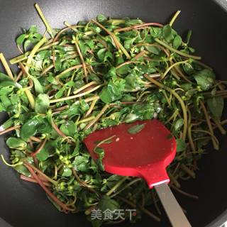 清炒马齿苋的做法步骤：2
