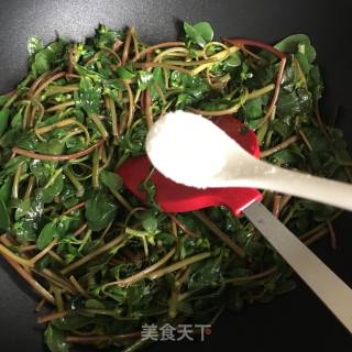清炒马齿苋的做法步骤：3