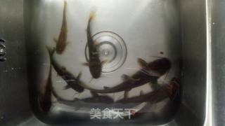 野生鱼熬汤的做法步骤：1