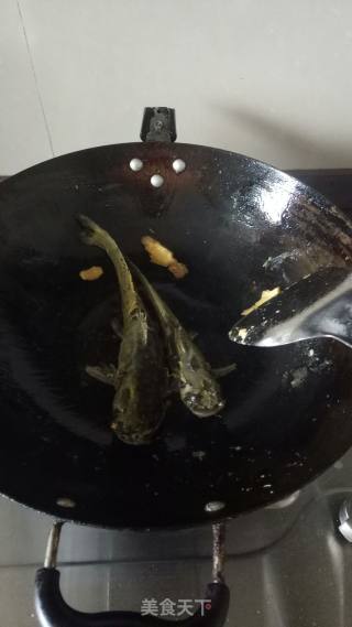 野生鱼熬汤的做法步骤：5