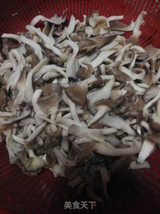 平菇炒肉片的做法步骤：2