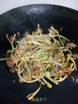 花生芽炒肉的做法步骤：6